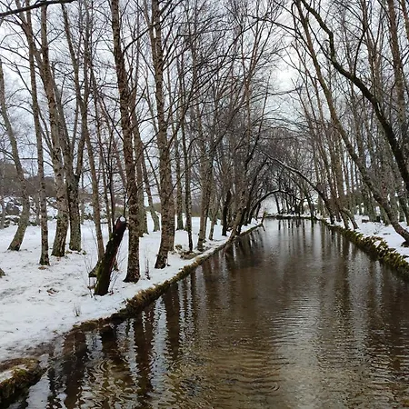 Zelu Apartamento Centro Da Guarda Zewnętrze zdjęcie