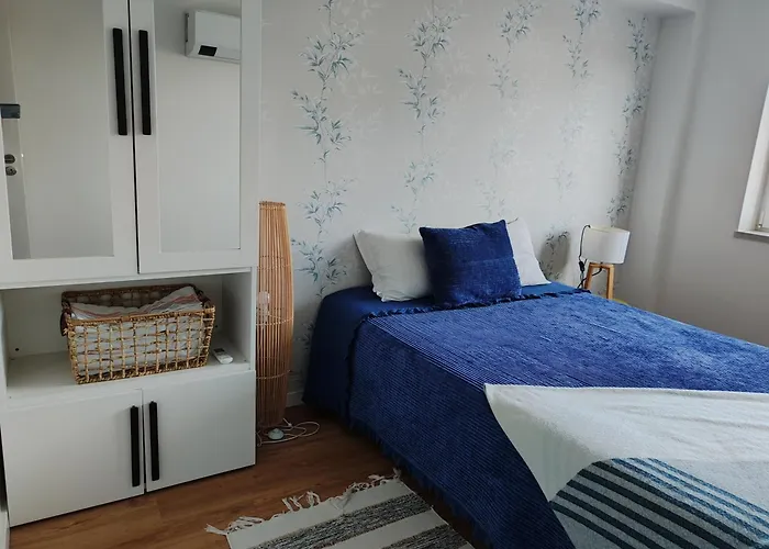 Zelu Apartamento Centro Da Guarda