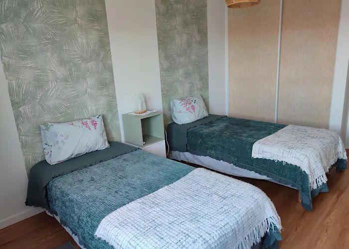 Zelu Apartamento Centro Da Guarda