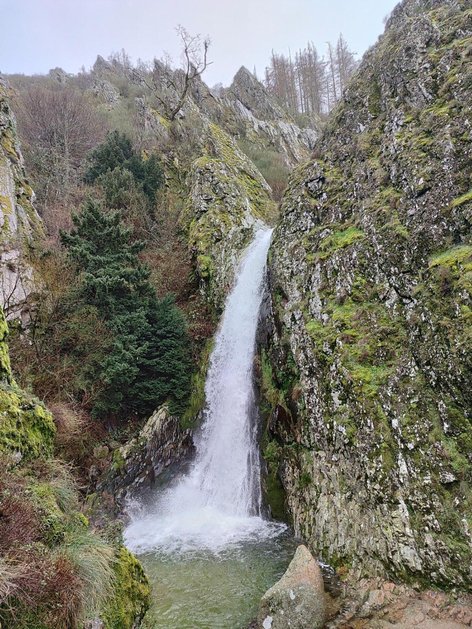 Zelu Centro Da