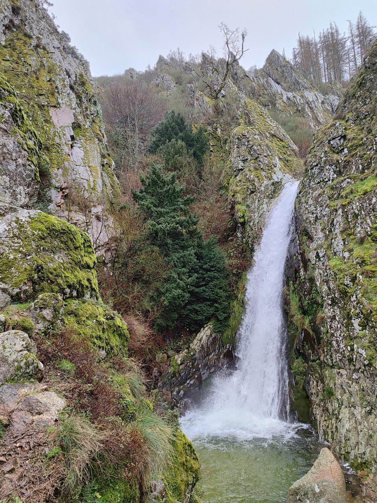 Zelu Centro Da Guarda