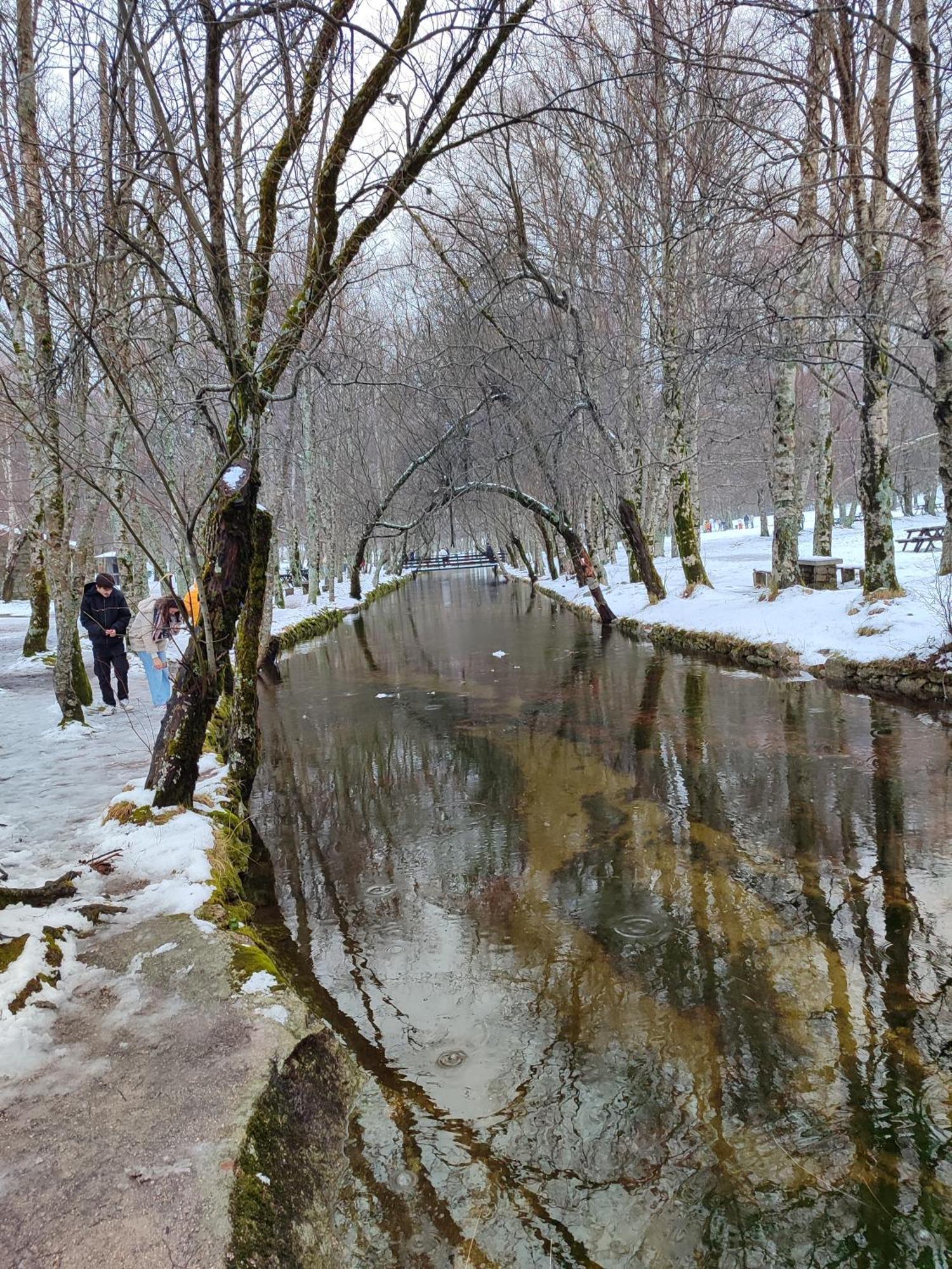 Zelu Centro Da Guarda